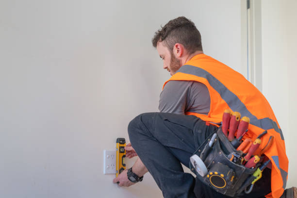 Best Electric Panel Repair  in Fair Lakes, VA